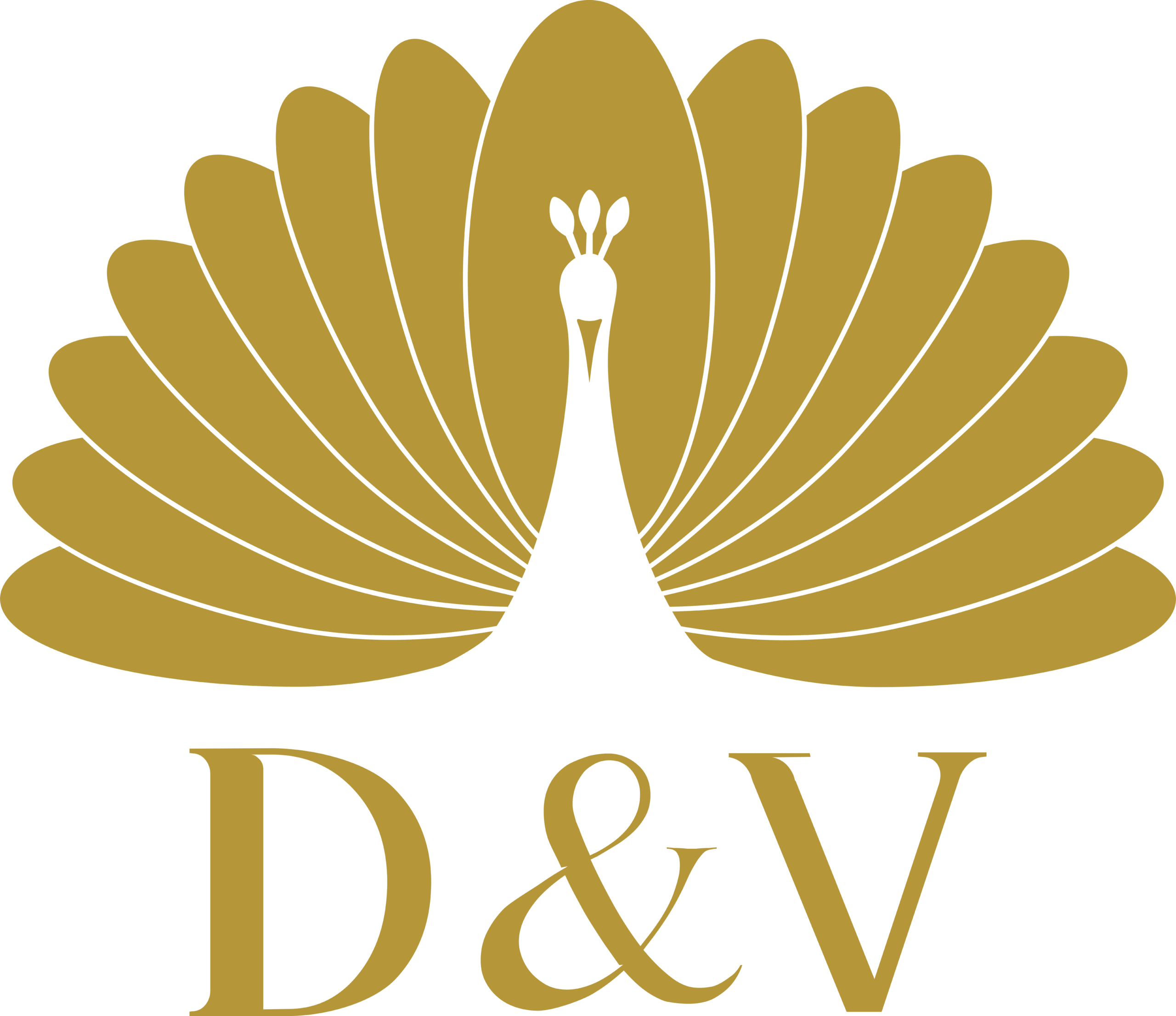 D&V